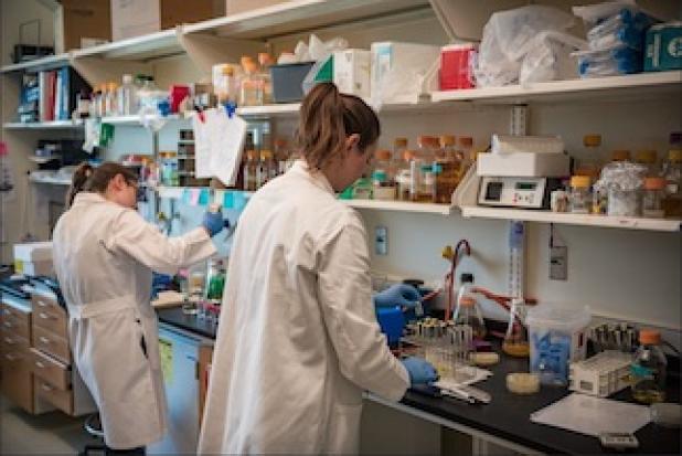 Two women in white coats working at lab bench